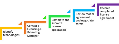 Licensing Process Steps; details appear below